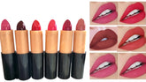 Pack Of 12 Piece Matte Lipstick Multicolour Pack